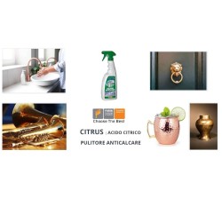 Faren Citrus Pulitore SPRAY Disincrostante Nebulizzatore Anticalcare 750ml