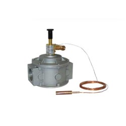 WATTS Valvola Intercettazione con Attacchi Flangiati in Alluminio DN 80