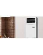 Climatizzatori a Colonna